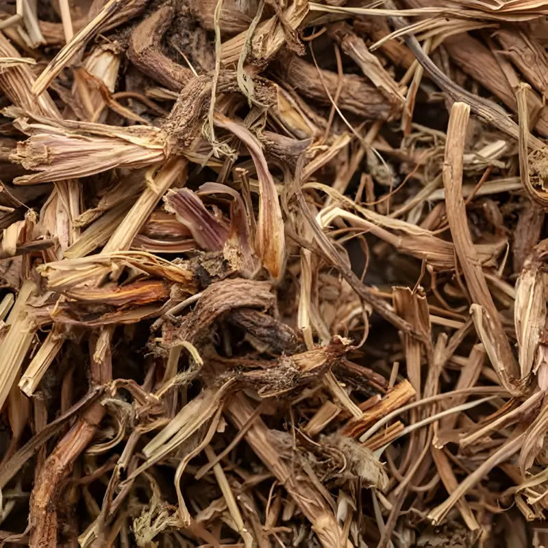 Dried epimedium herb — key botanical ingredient in Vasl herbal dark chocolate formula — Vasl by Healy Herbs, Pakistan.